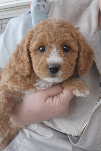 1AD95229-BF8D-4081-B039-E75C0C48CFE3