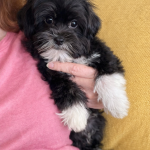 1FC9F30F-B9E0-4C4B-9583-8178E502F440