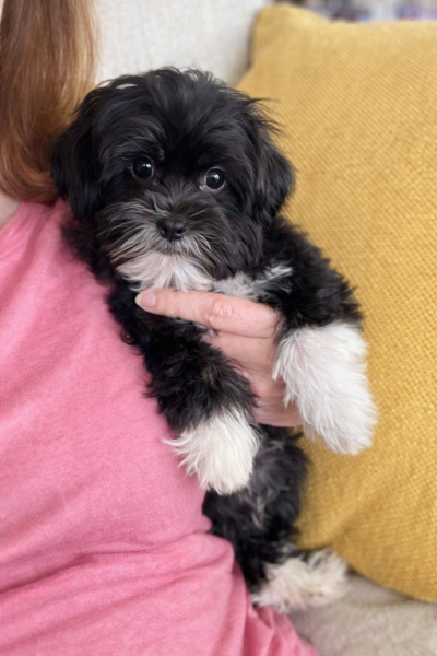 1FC9F30F-B9E0-4C4B-9583-8178E502F440