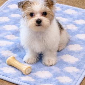 3C5344EE-9FC4-403B-8961-37790DD04C0A