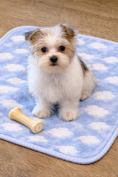 3C5344EE-9FC4-403B-8961-37790DD04C0A