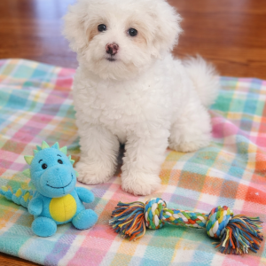 441A92BC-5B2E-4835-817C-63FFD8D0353D