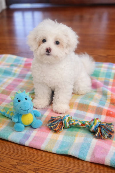 441A92BC-5B2E-4835-817C-63FFD8D0353D