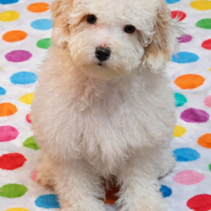 47E94876-528F-466D-AC45-1507B2E8DB34