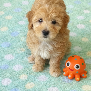 747B7E15-158B-48CD-BCD0-3C00D409925A