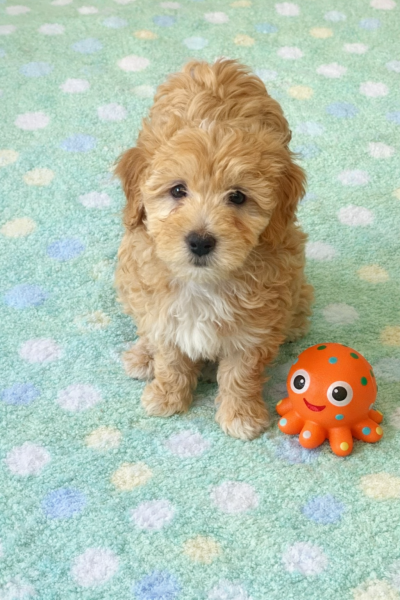 747B7E15-158B-48CD-BCD0-3C00D409925A