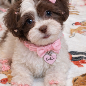 8964ACC7-65D0-4FE3-87F7-EEF09DFA4C9D