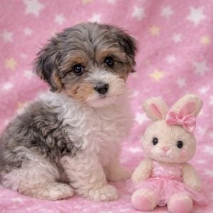 8D8E9101-8D6B-491A-8724-9C0A8B0A18F1