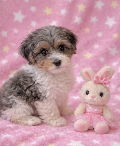 8D8E9101-8D6B-491A-8724-9C0A8B0A18F1