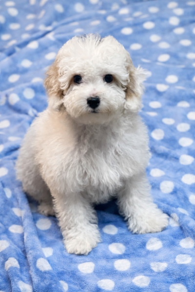 8DD3BF5C-45A0-4953-856F-733420E482C2