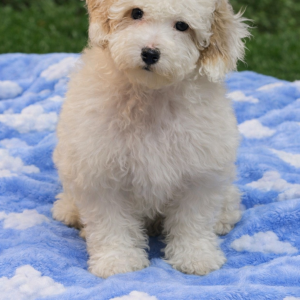 A4F6C152-F0A4-474B-9C6B-A0F5DD569E6A