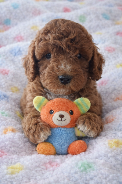 AC5533CB-36D3-4E6C-88B3-BF3FDA4E2AF2