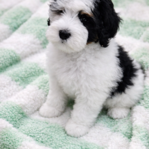 E2322DD8-0A9F-4CC1-9740-8C217A67A8DF