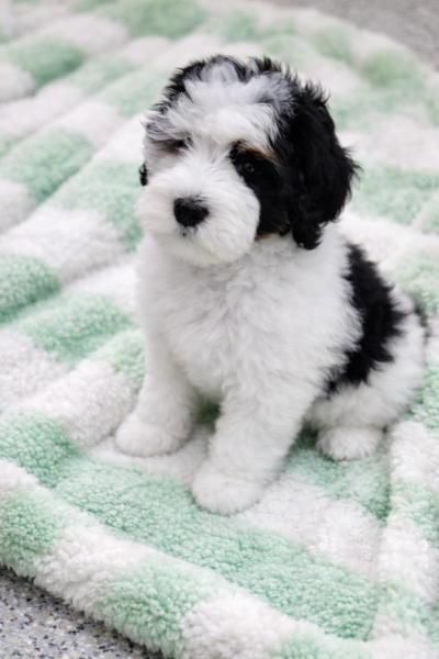 E2322DD8-0A9F-4CC1-9740-8C217A67A8DF