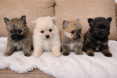 ED863C24-BE33-489B-91A3-EEAD6E3A81B4