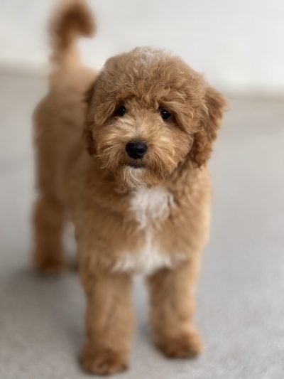 IMG_1579